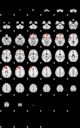 Patients 29031 76