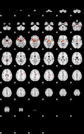 Patients 28696 40