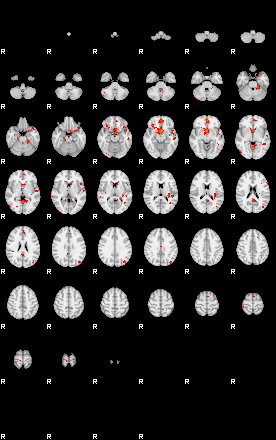 Patients 28816 35