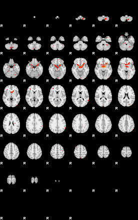 Patients 28957 43