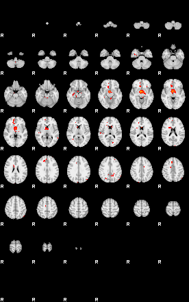 Patients 29219 145