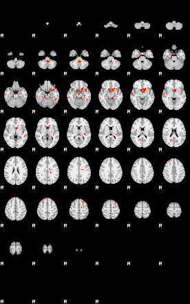 Patients 29511 40