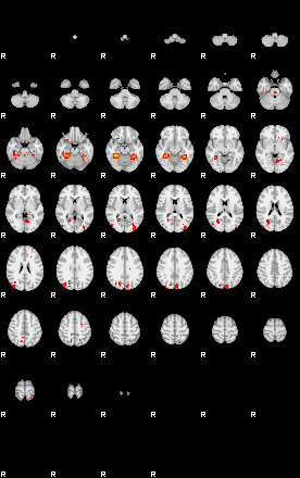 Patients 29109 72