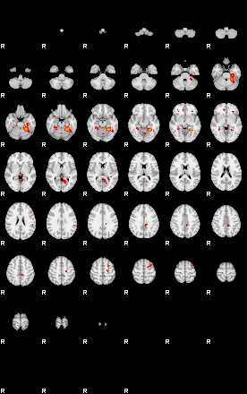 Patients 29167 95