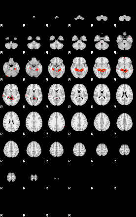 Patients 29173 89