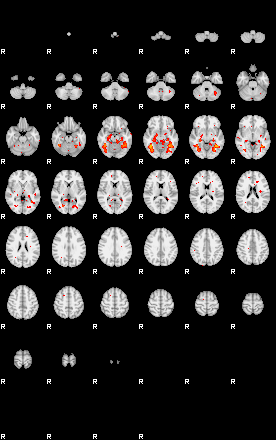 Patients 29344 140