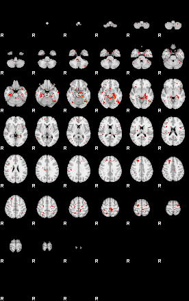 Patients 29619 34