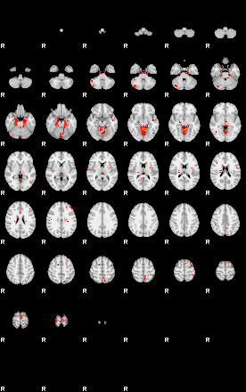 Patients 29623 17