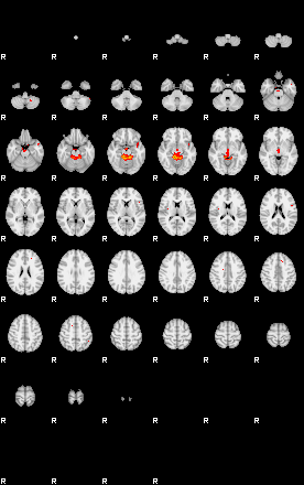 Patients 29665 40