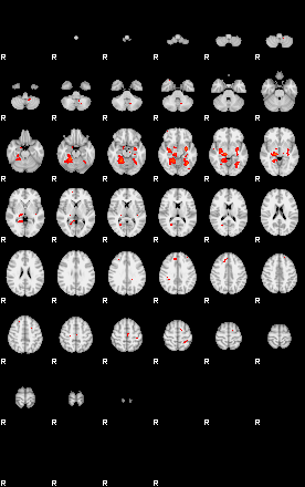 Patients 29676 76