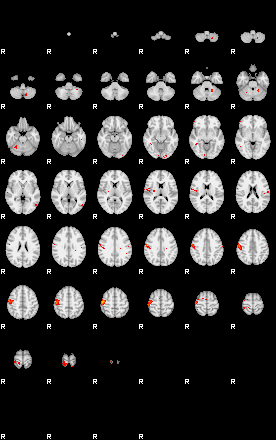 Patients 29732 40