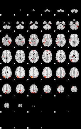 Patients 28800 2