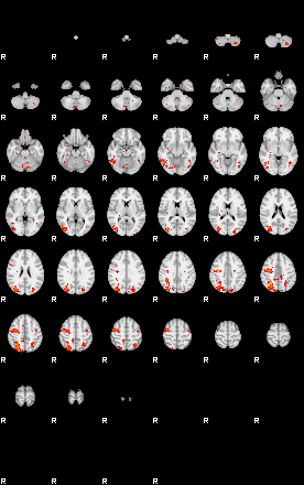 Patients 28958 19