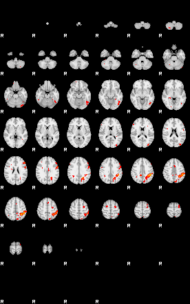 Patients 28940 44