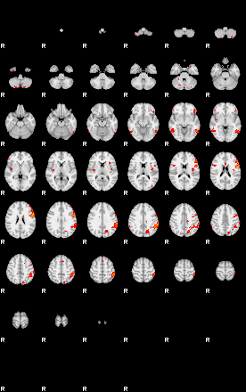 Patients 29109 8