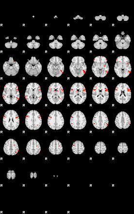 Patients 29559 9