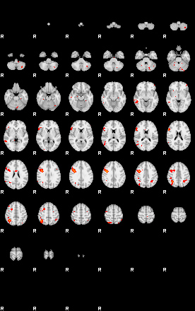 Patients 29735 21