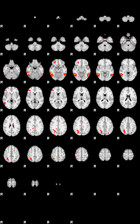 Patients 29794 19