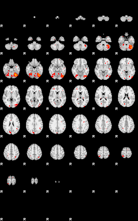 Patients 29403 33