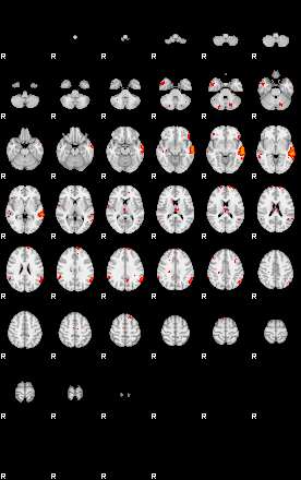 Patients 28817 100