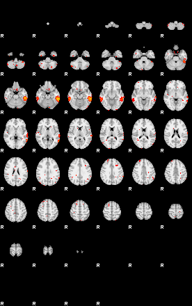 Patients 28901 61