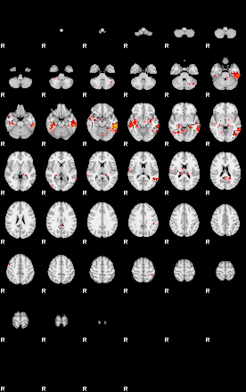 Patients 28931 52