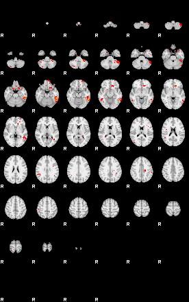 Patients 29037 30