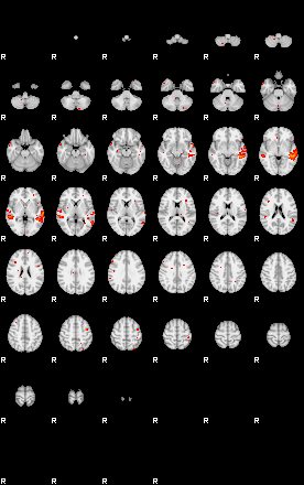 Patients 29188 104