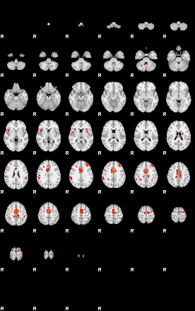 Patients 29729 35