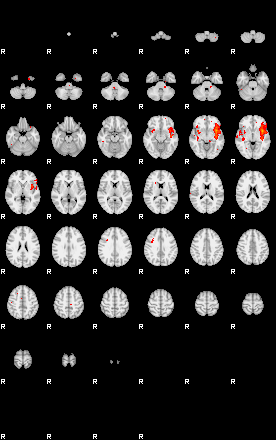 Patients 29107 177