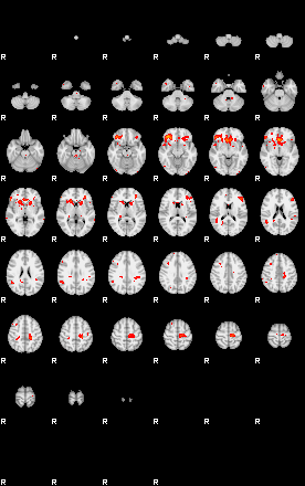 Patients 28831 38