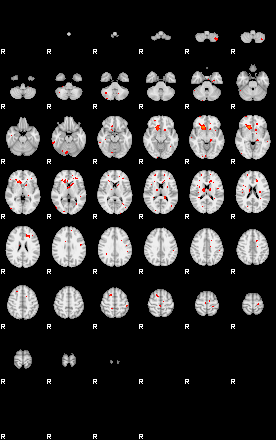 Patients 29211 47