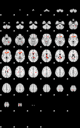 Patients 29675 24