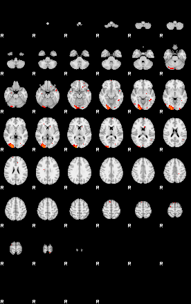 Patients 28771 91