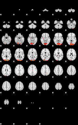 Patients 29216 10