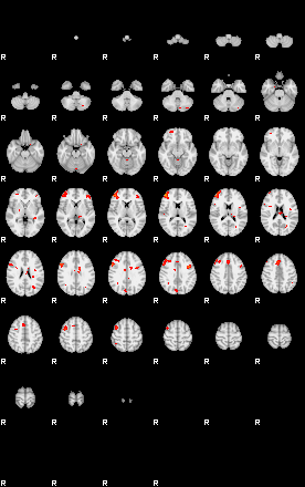 Patients 29187 100