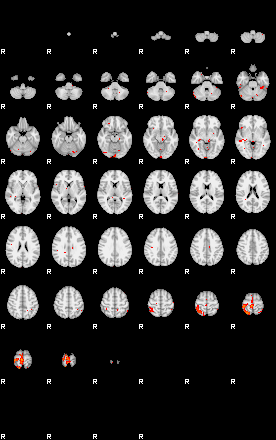 Patients 29562 132