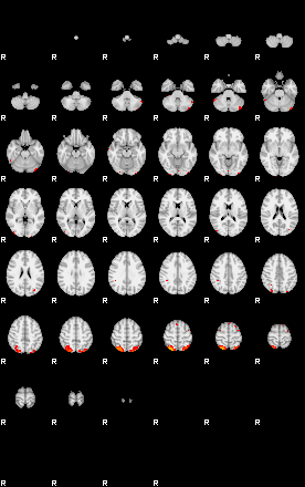 Patients 29173 117