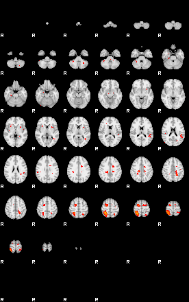 Patients 29213 147