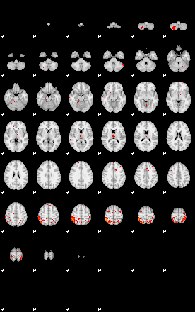 Patients 29412 134