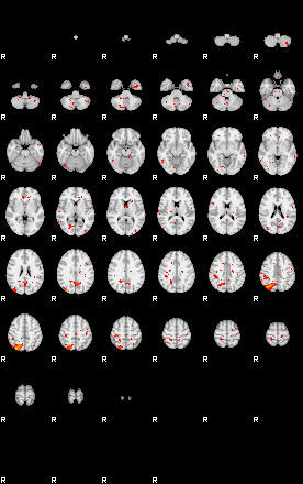 Patients 29591 20