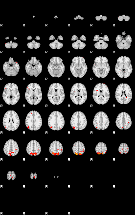 Patients 29740 153