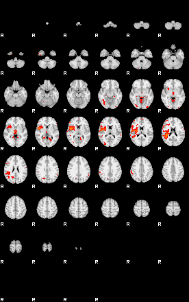 Patients 29102 157