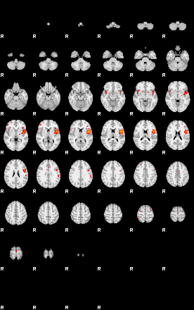 Patients 29510 76