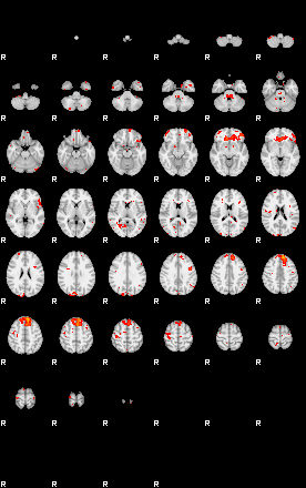 Patients 29052 15