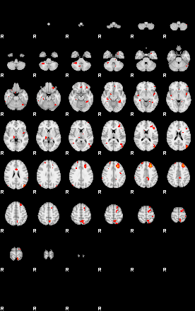 Patients 29104 21