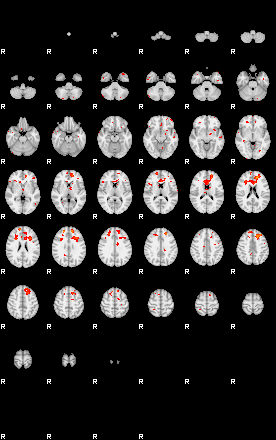 Patients 29113 117