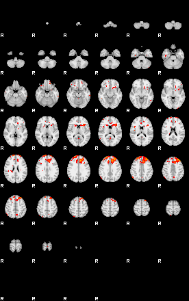 Patients 29151 36