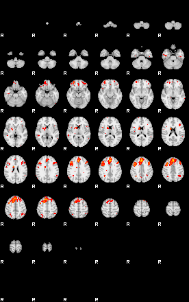 Patients 29151 47