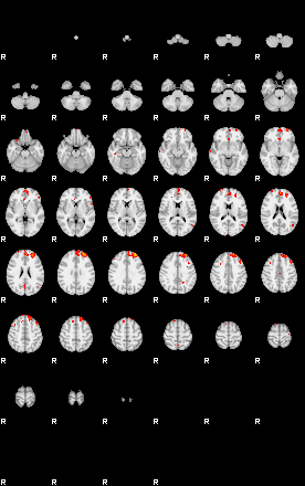 Patients 29168 136